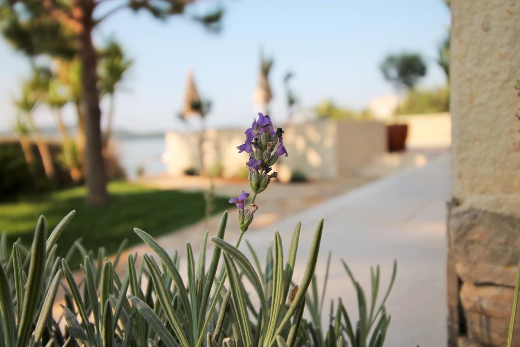 Apartments Marer تروغير المظهر الخارجي الصورة